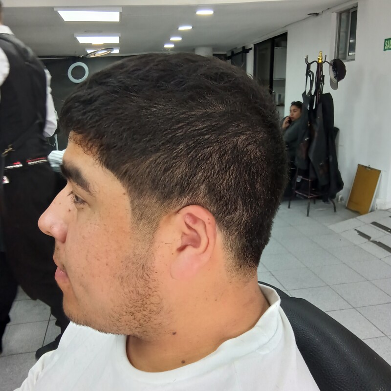 img_20241216_114355878