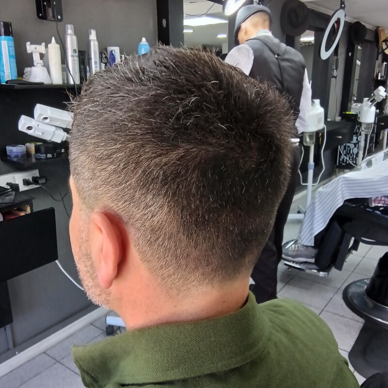 img_20241216_134423594