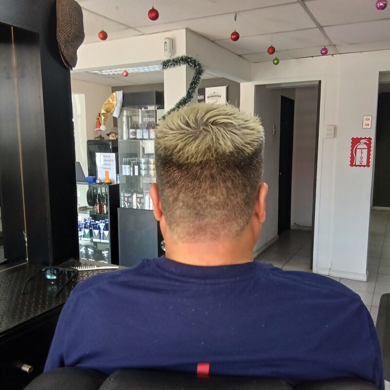 img_20241217_143245614