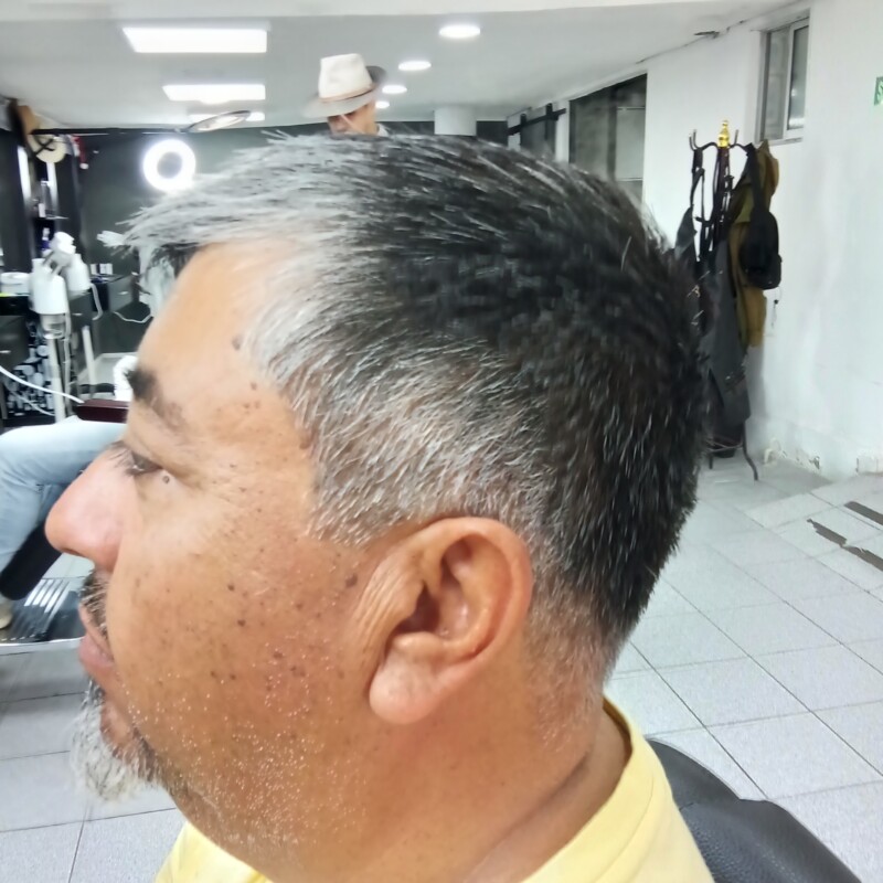 img_20241218_114432550