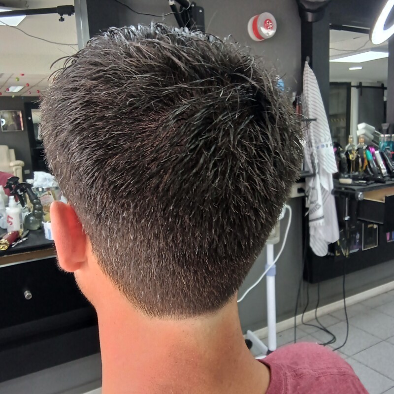 img_20241218_133743147