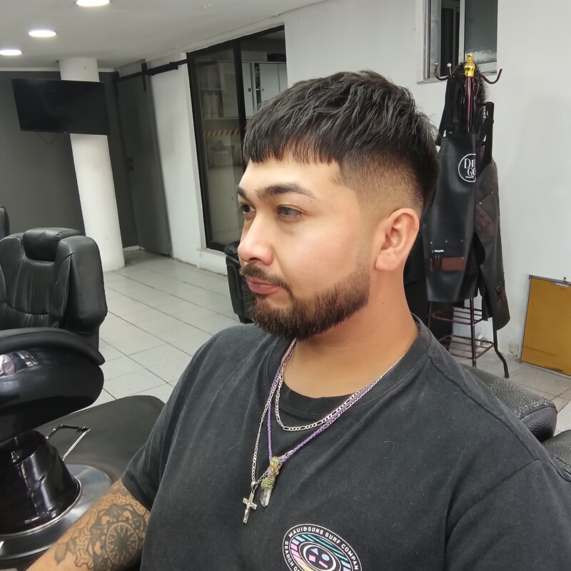 img_20241219_134459535