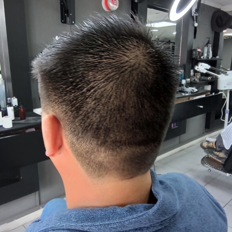 img_20241219_131248609