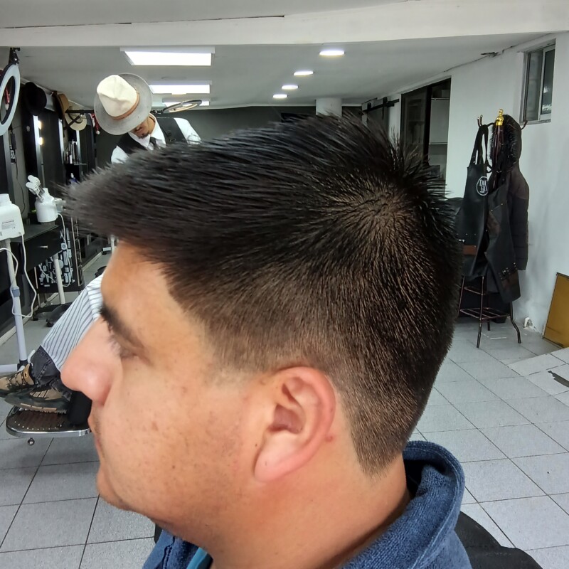 img_20241219_131253222