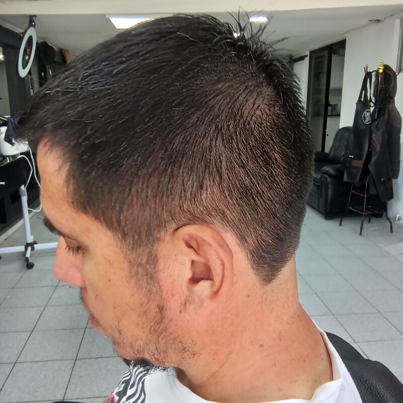 img_20241219_134532132