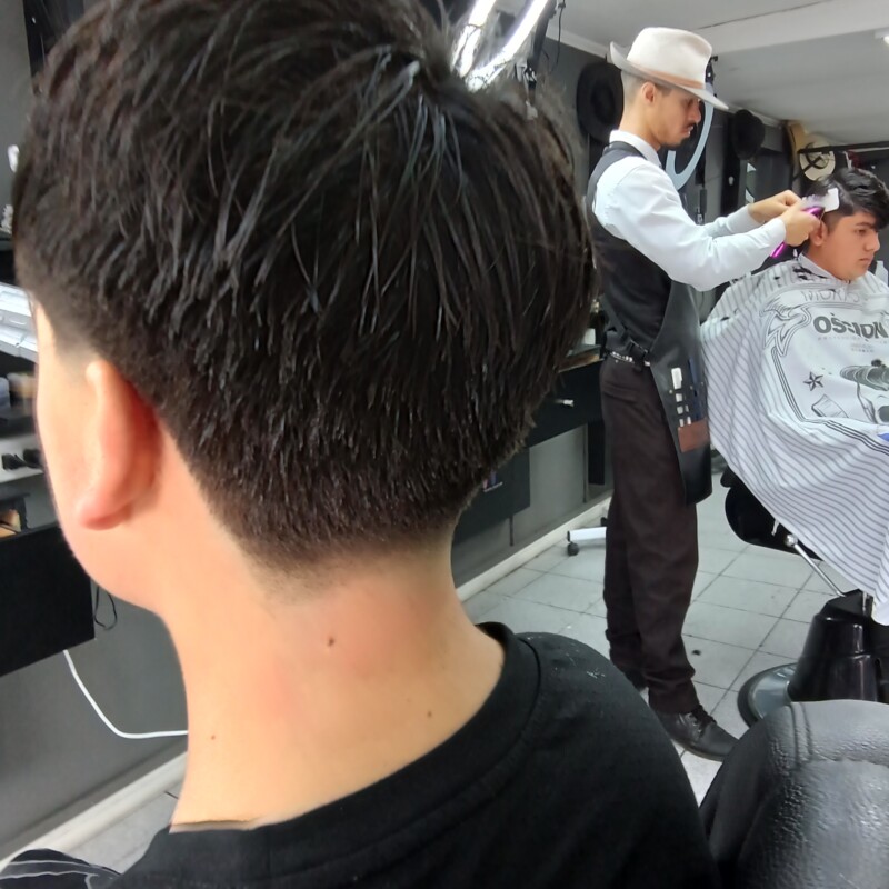 img_20241220_115308764