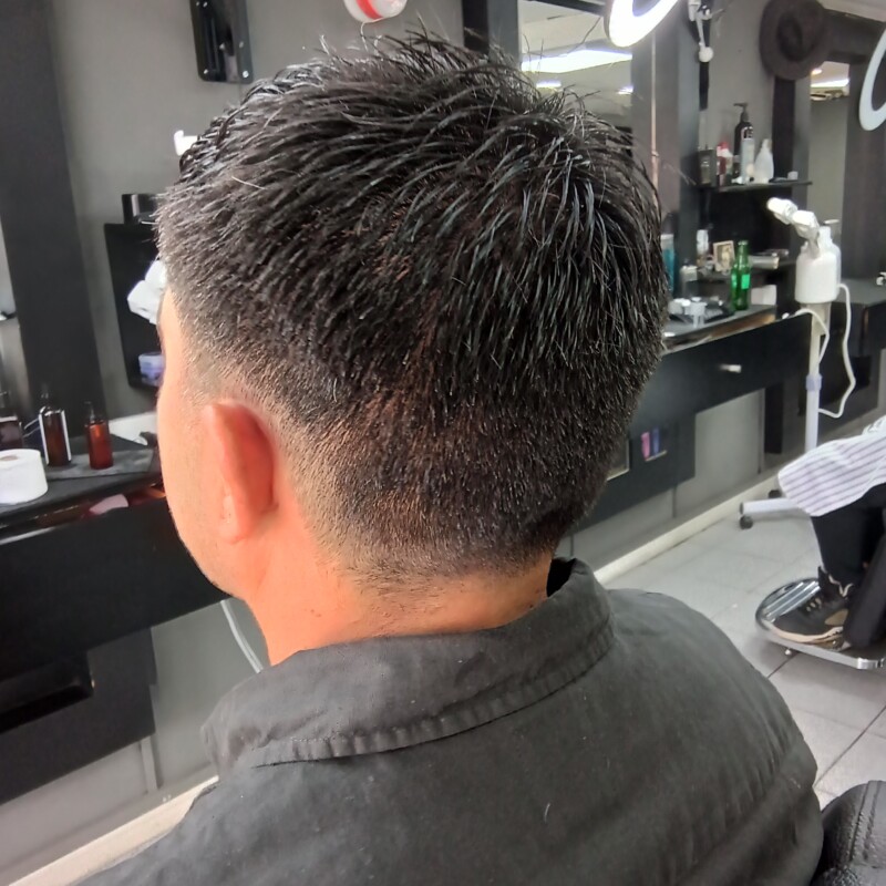 img_20241220_120922788