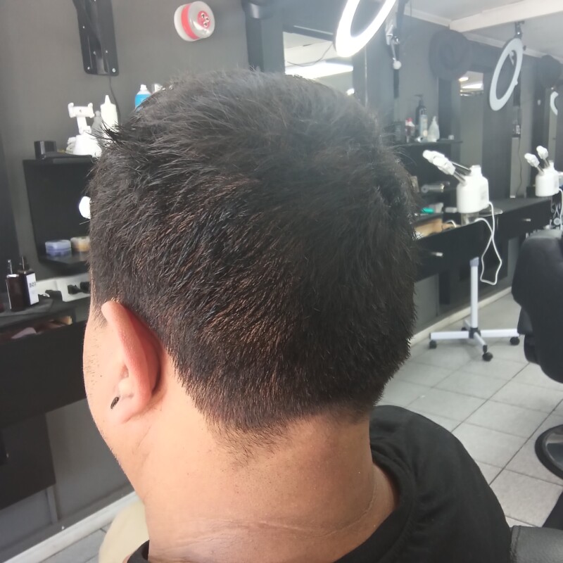 img_20241220_144725128