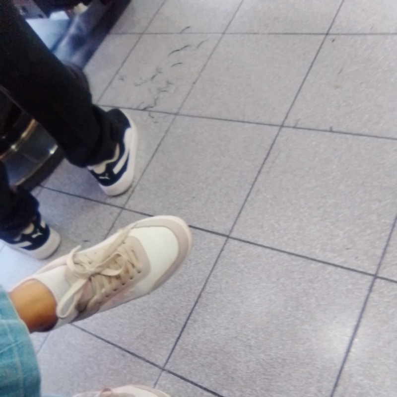 17684850709714567039528306739975