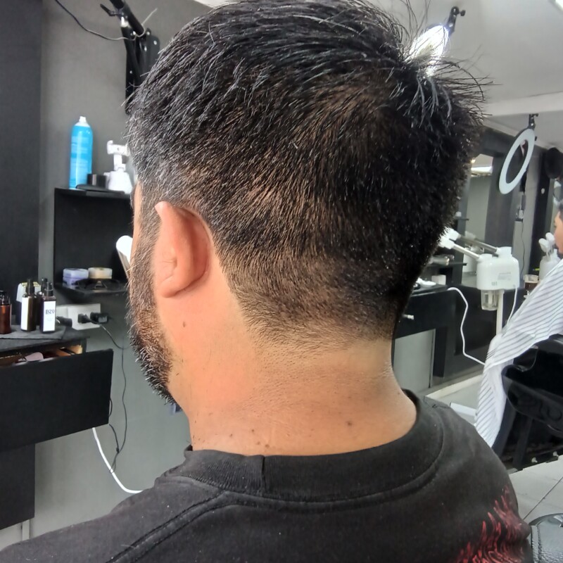 img_20241221_114423679