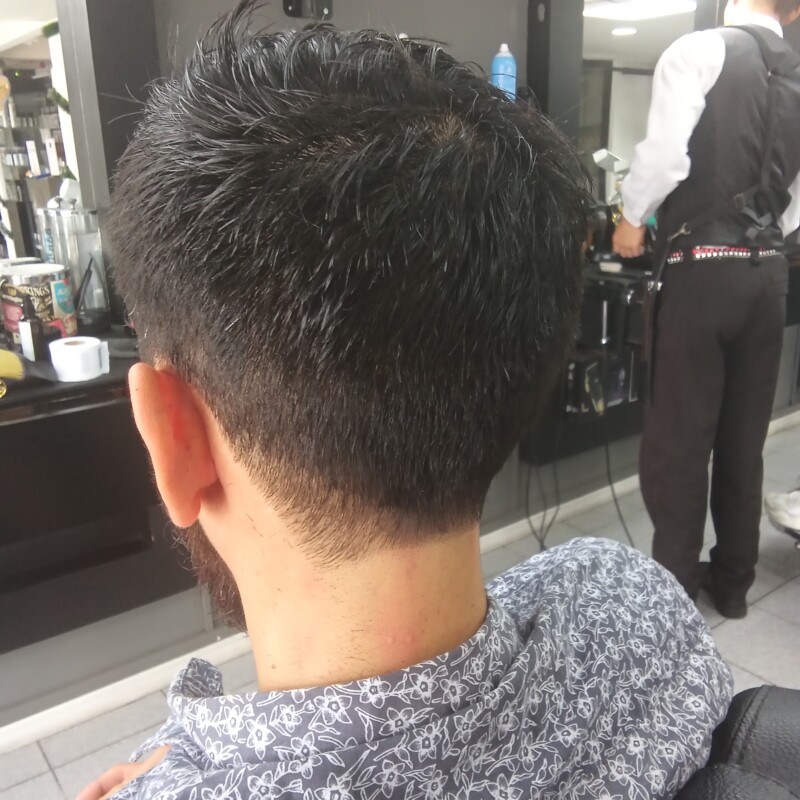 img_20241224_150710863