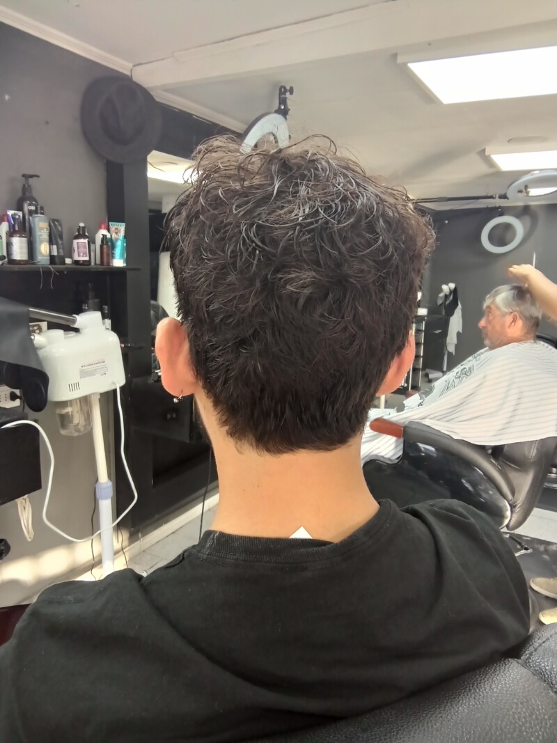 img_20250207_191556569